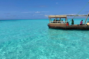 ザンジバル：イルカツアー、バラカ水族館、ケンドワビーチをご訪問ください