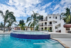 ザンジバル：イルカツアー、バラカ水族館、ケンドワビーチをご訪問ください