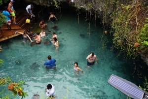 ザンジバル：イルカツアー、バラカ水族館、ケンドワビーチをご訪問ください