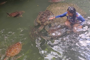 ザンジバル：イルカツアー、バラカ水族館、ケンドワビーチをご訪問ください