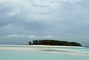 ザンジバル：イルカツアー、バラカ水族館、ケンドワビーチをご訪問ください