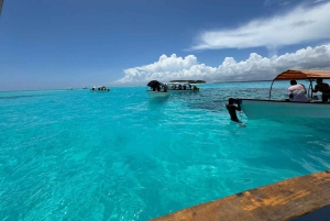 ザンジバル：イルカツアー、バラカ水族館、ケンドワビーチをご訪問ください