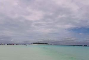 ザンジバル：イルカツアー、バラカ水族館、ケンドワビーチをご訪問ください