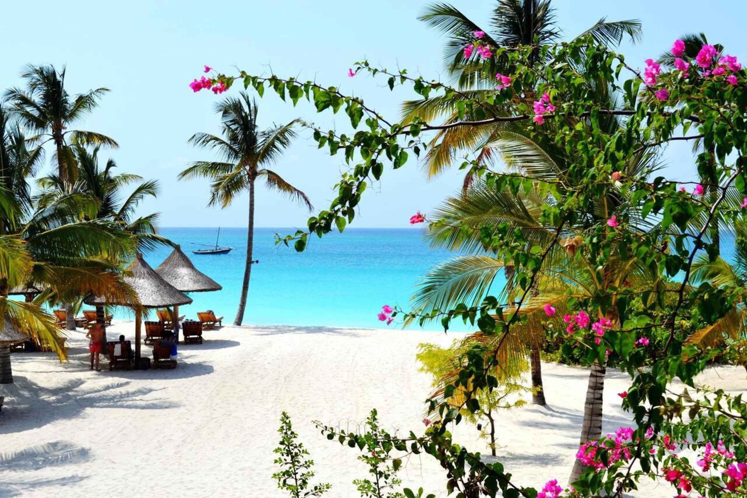 ザンジバルのエコウォーク：人里離れたビーチとザ・ロック・レストランをご案内します