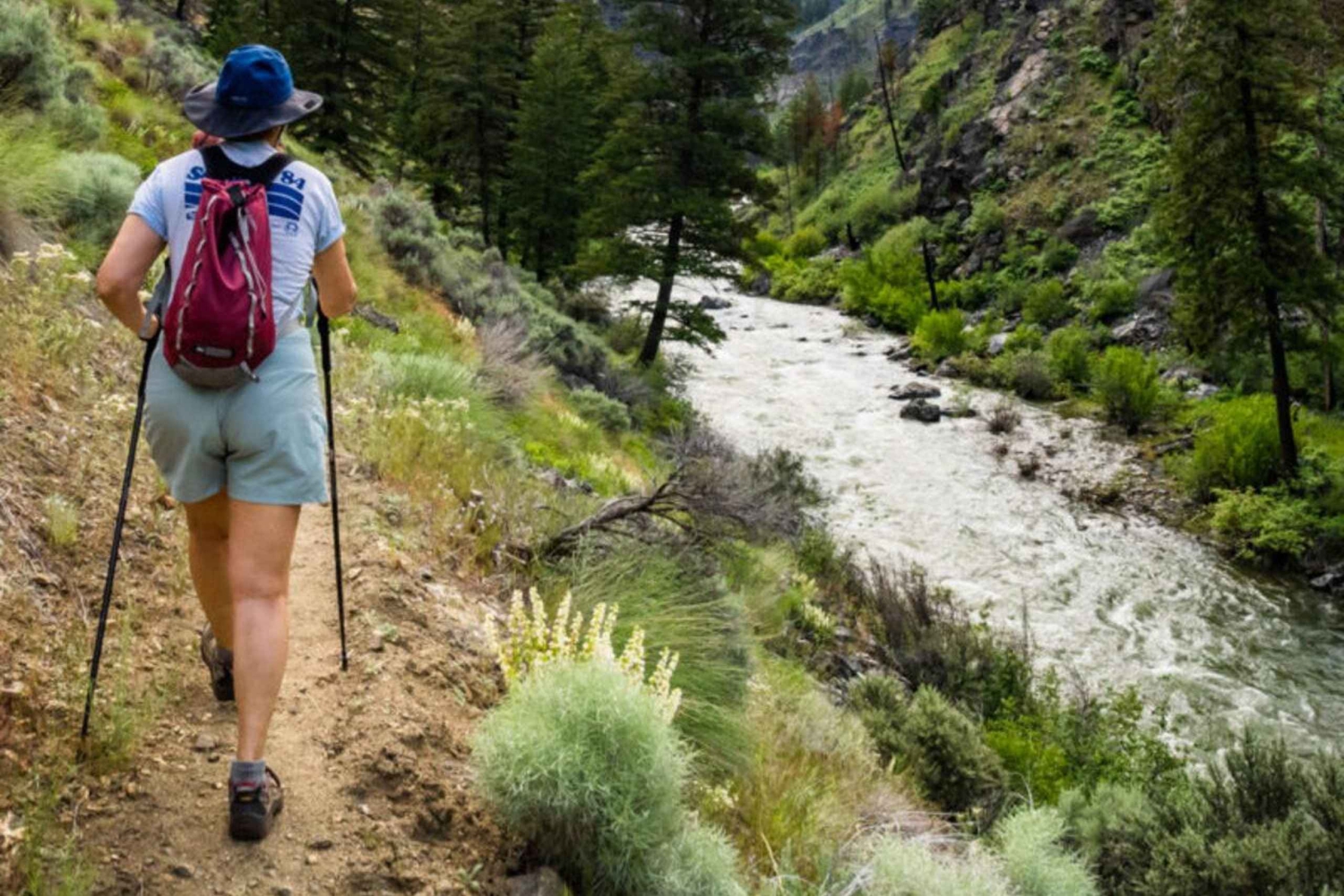 ZANZÍBAR: cueva Salaam, bosque Jozani y restaurante Rock
