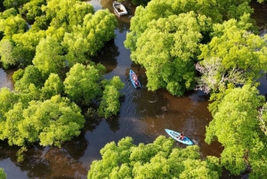 Zanzibar: Ogród motyli i kajaki po namorzynach w Uzi.