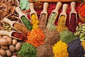 Zanzibar: Aula de culinária tradicional e excursão de 1 dia ao mercado