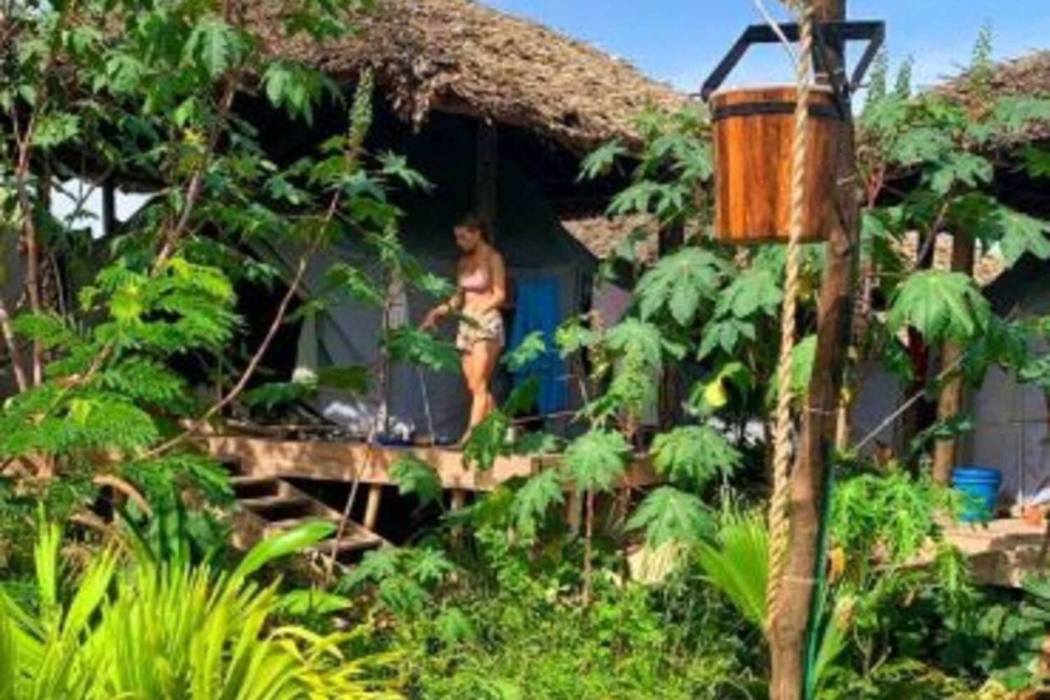 Zanzíbar: encuentro con guepardos en la Roca del Gepardo y tour VIP con nutrias