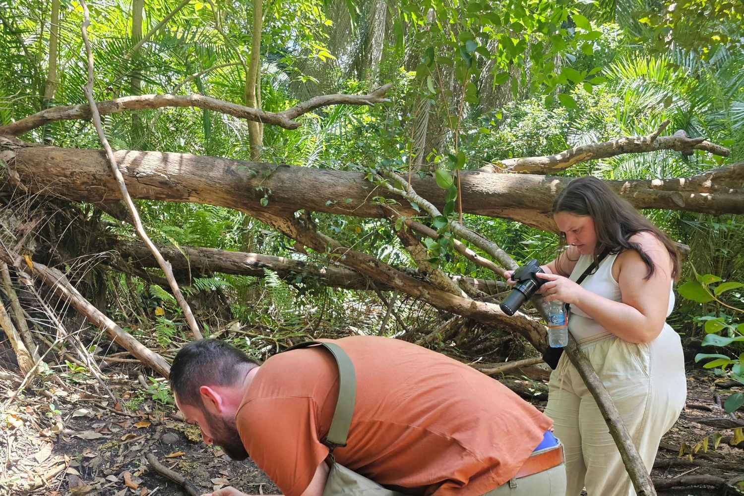 Sansibar: Joani-Wald, Schmetterlingszentrum & Ngonga-Höhlen-Tour