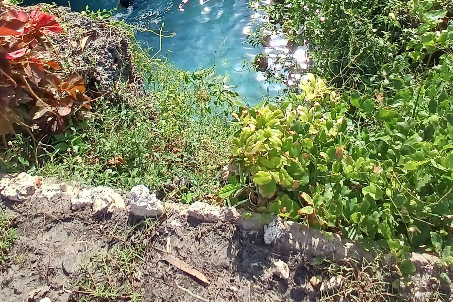 Zanzibar: Jozani Forest & Sea Tortoises Sanctuary Tour