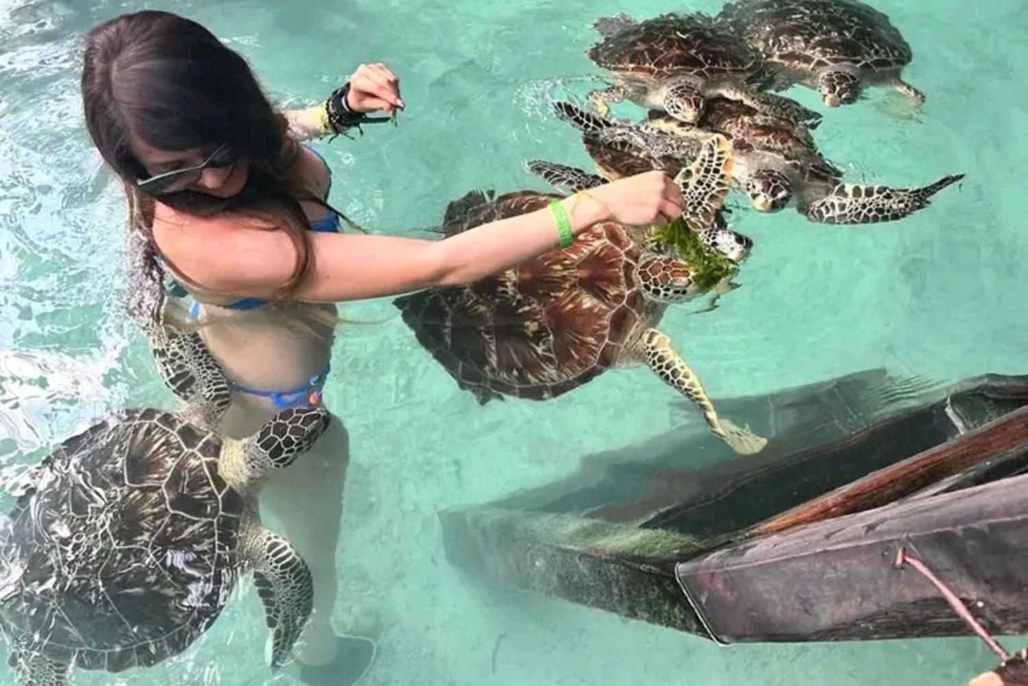 Занзибар: тур по лесу Джозани и пещере Салам