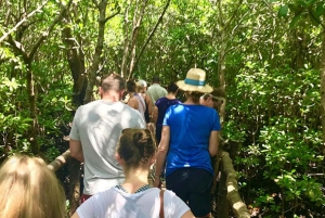 Zanzibar: Jozani-skogen, Blå lagunen, The Rock och Kuza-grottan