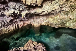 Zanzibar: Jozani-skogen, Blå lagunen, The Rock och Kuza-grottan