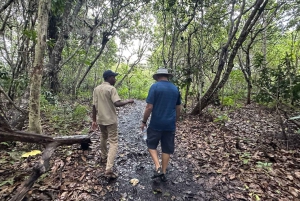 Zanzíbar: Bosque de Jozani, parque de mariposas y reptiles.