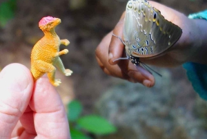 Zanzíbar: Bosque de Jozani, parque de mariposas y reptiles.
