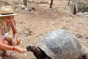 Zanzíbar: Bosque de Jozani, parque de mariposas y reptiles.