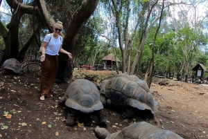 Zanzíbar: Bosque de Jozani, parque de mariposas y reptiles.