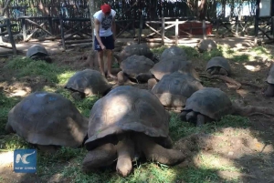 Zanzíbar: Bosque de Jozani, parque de mariposas y reptiles.