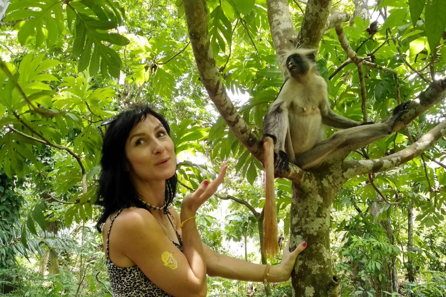 Zanzibar: Jozani Forest, Zoológico Local e Nadar com Tartarugas