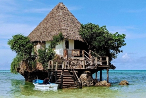 Zanzibar: Jozanin metsä, apinoita ja illallinen The Rockissa