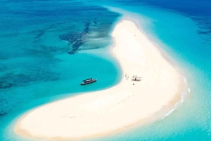 Zanzibar: Jozani Forest & Nakupenda Sandbank with BBQ Lunch