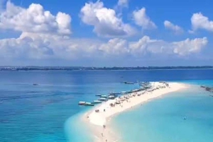 Zanzibar: Jozani Forest & Nakupenda Sandbank with BBQ Lunch