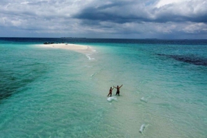 Zanzibar: Jozani Forest & Nakupenda Sandbank with BBQ Lunch