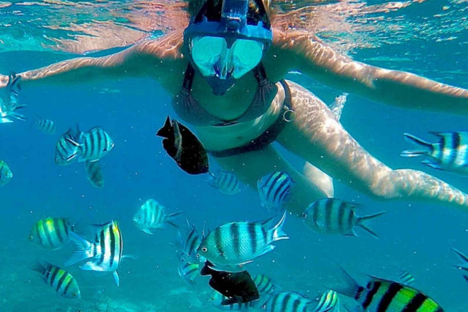 ZANZIBAR: Floresta de Jozani, Caverna Salaam, The Rock e Blue Lagoon