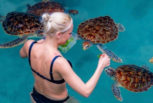 ザンジバル：ジョザニの森＆サラーム洞窟（送迎＆入場料込み）