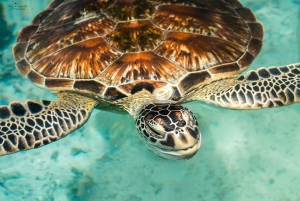 ザンジバル：ジョザニの森＆サラーム洞窟（送迎＆入場料込み）