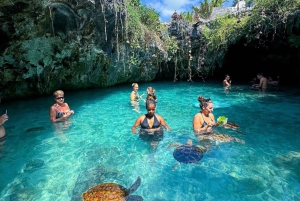 ザンジバル：ジョザニの森＆サラーム洞窟（送迎＆入場料込み）