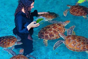 ザンジバル：ジョザニの森＆サラーム洞窟（送迎＆入場料込み）