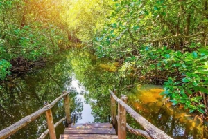 ザンジバル：ジョザニの森＆サラーム洞窟（送迎＆入場料込み）