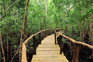 ザンジバル：ジョザニの森＆サラーム洞窟（送迎＆入場料込み）