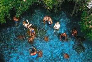 ザンジバル：ジョザニの森＆サラーム洞窟（送迎＆入場料込み）