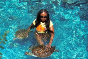 ザンジバル：ジョザニの森＆サラーム洞窟（送迎＆入場料込み）