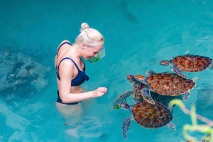 ザンジバル：ジョザニの森＆サラーム洞窟（送迎＆入場料込み）