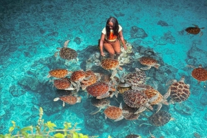 ザンジバル：ジョザニの森＆サラーム洞窟（送迎＆入場料込み）