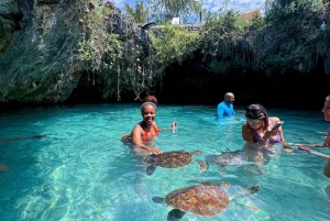 ザンジバル：ジョザニの森＆サラーム洞窟（送迎＆入場料込み）