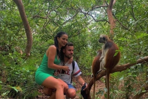 Sansibar: Jozanin metsä, maustefarmi ja kivityökierros