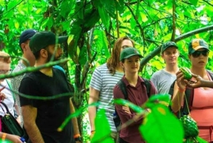 Sansibar: Jozanin metsä, maustefarmi ja kivityökierros