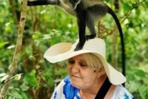 Sansibar: Jozanin metsä, maustefarmi ja kivityökierros