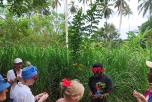 Sansibar: Jozanin metsä, maustefarmi ja kivityökierros