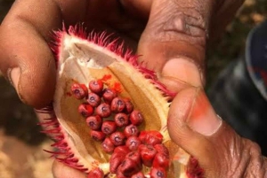 Sansibar: Jozanin metsä, maustefarmi ja kivityökierros