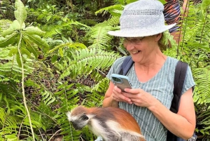 Sansibar: Jozanin metsä, maustefarmi ja kivityökierros