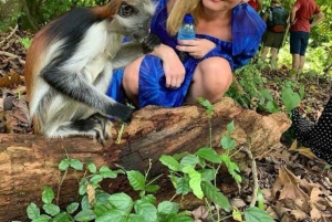 Sansibar: Jozanin metsä, maustefarmi ja kivityökierros