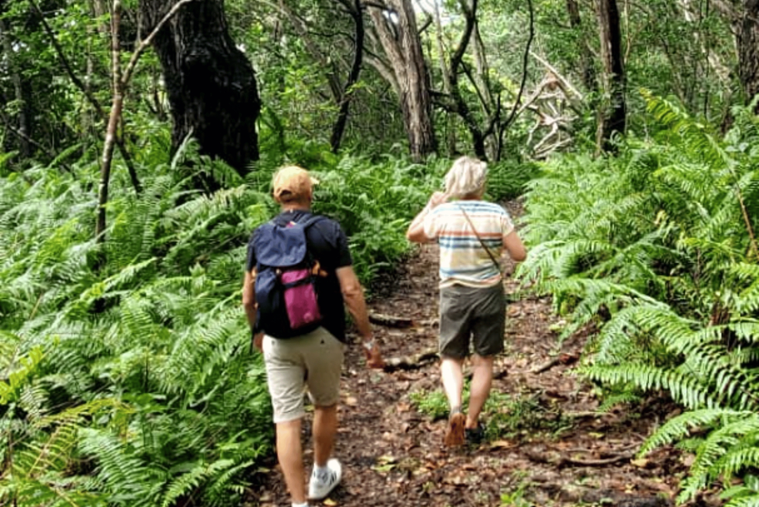 ザンジバル：ジョザニ・モンキーフォレスト ガイドツアー