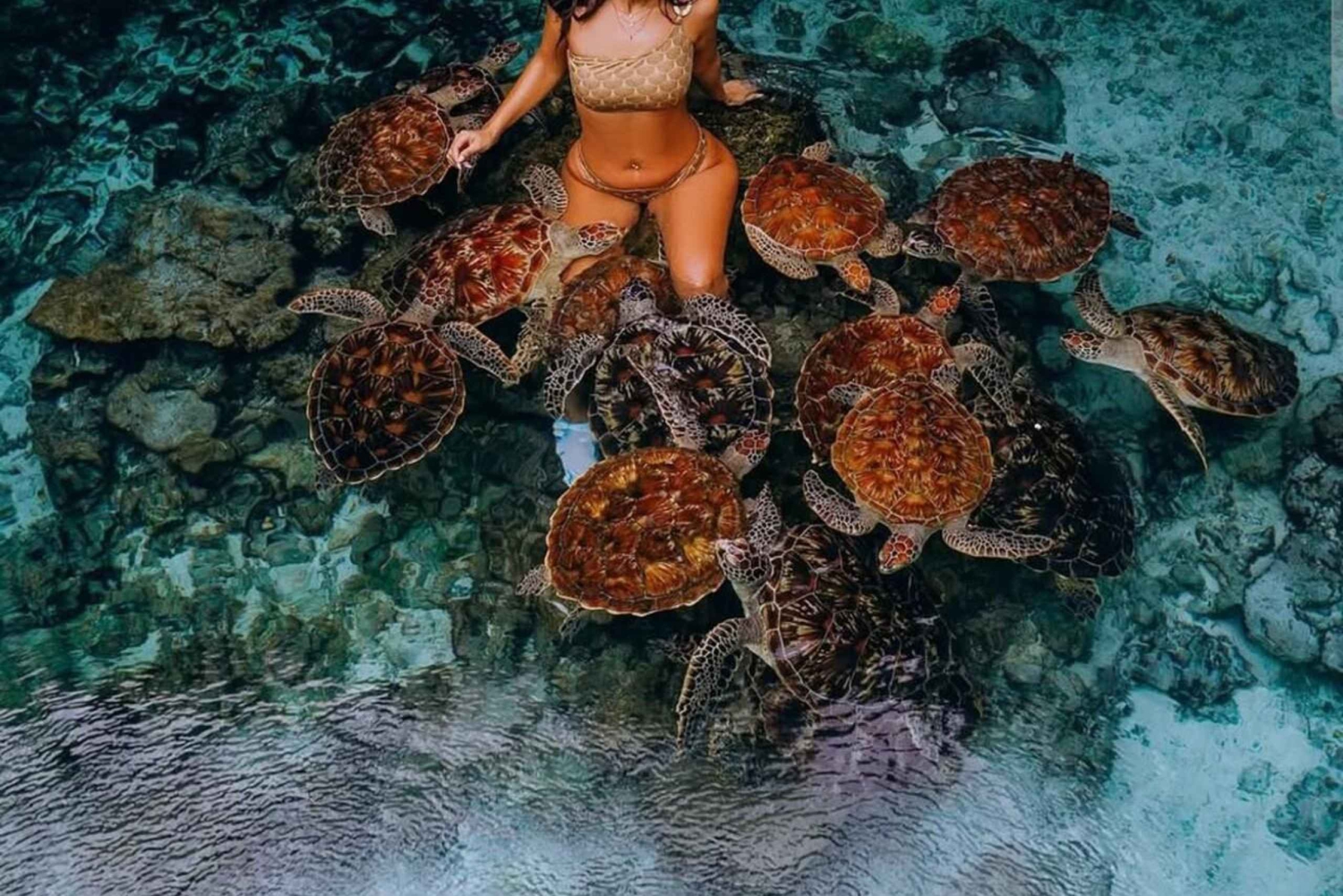 Занзибар: экскурсия к обезьянам Джозани и морским черепахам