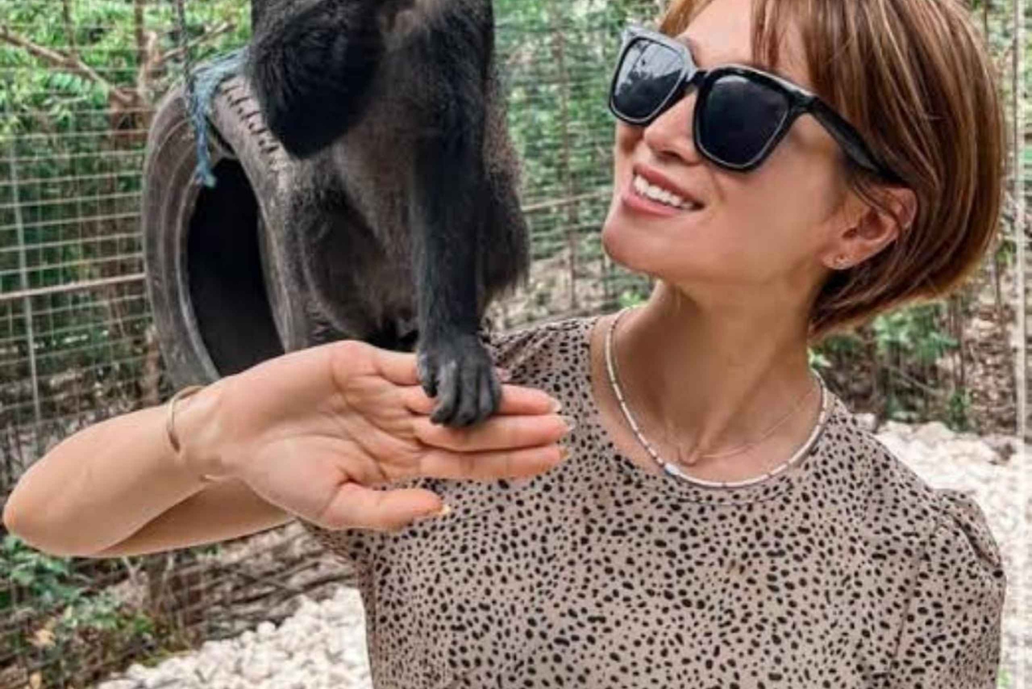 Sansibar: Kilosan eläintarhan suojelu ja dhow-risteily auringonlaskussa