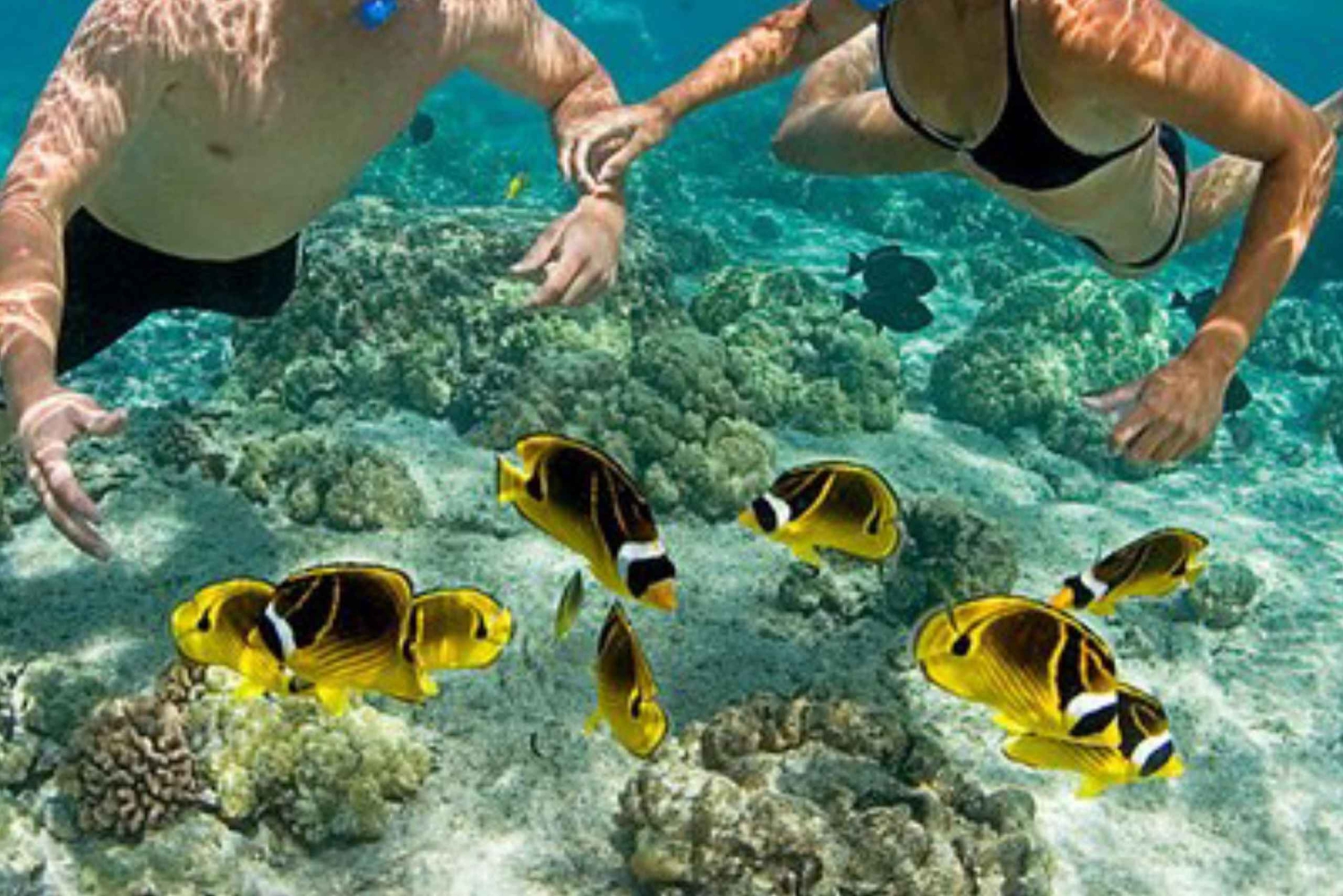 Zanzibar: Snorkling og sejltur til Kiwengwa-revet